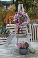 Wrzosowisko, dekoracyjny wianek z traw boho