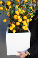 Limone Fiberglass, sztuczne drzewko cytrynowe w donicy