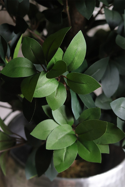 Fikus Formowany Silver, sztuczna roślina w donicy