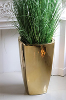 Goldiste Luck, elegancka trawa w złotej donicy