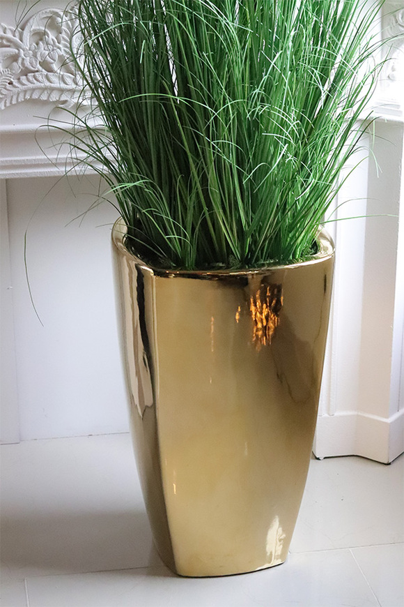 Goldiste Luck, elegancka trawa w złotej donicy