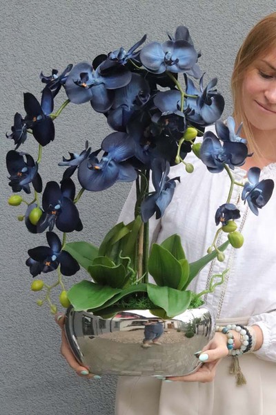 Blue&Silver, storczyk w lustrzanej donicy glamour