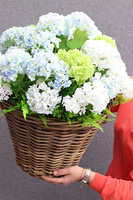 Kalina Provance, dekoracyjny kosz z kwiatami