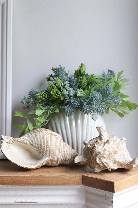 Antylla Marino Shell, kompozycja sukulenty w muszli