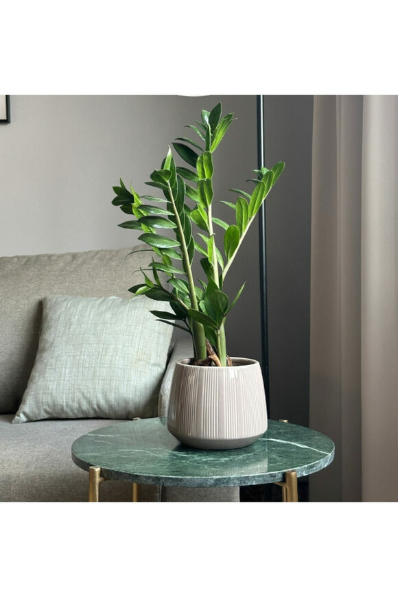 Barcelona Blue, osłonka ceramiczna doniczka