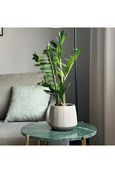 Barcelona Blue, osłonka ceramiczna doniczka