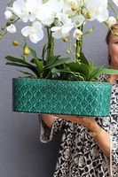 Dark Green Orient 3, wysokiej jakości sztuczny storczyk