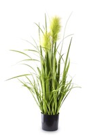 sztuczna trawa Pióropusze, zieleń, wys.80cm