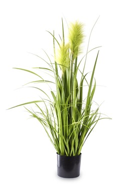 sztuczna trawa Pióropusze, zieleń, wys.80cm