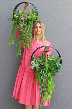 Zieleń Sukulentów A, kompozycja sukulenty w donicy wiszącej, śr.45cm