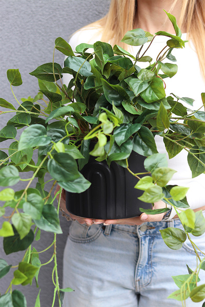 Hoja Black Moment, sztuczna roślina w czarnej donicy