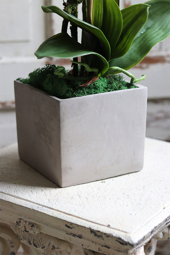 biały storczyk w betonowej donicy, Simple Modern, wys.61cm