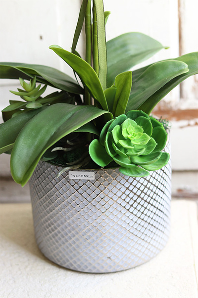 Bedrato, storczyk z sukulentami w srebrnej donicy, wys.72cm