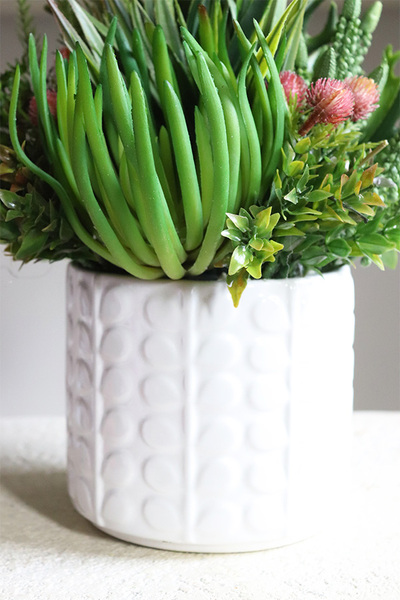 Jerudo D, kompozycja sukulenty w białej donicy, wys.27cm