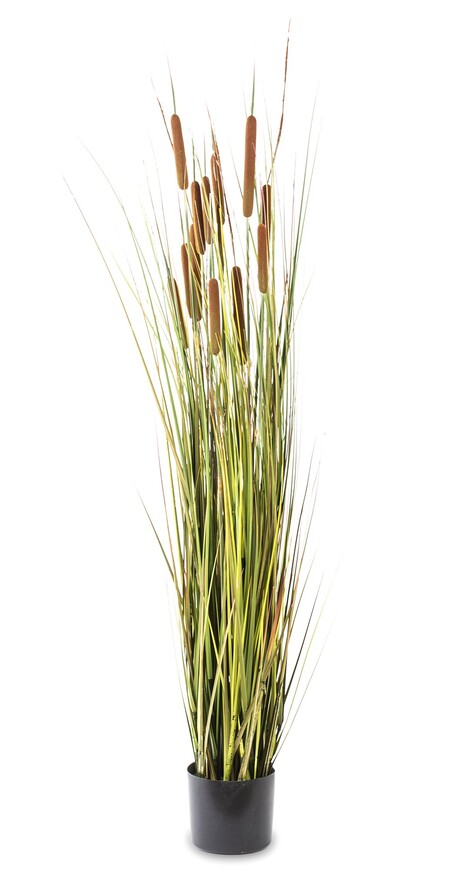 Rinis, sztuczna trawa z pałkami tatarak, wys.155cm