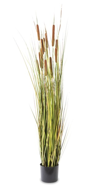Rinis, sztuczna trawa z pałkami tatarak, wys.155cm