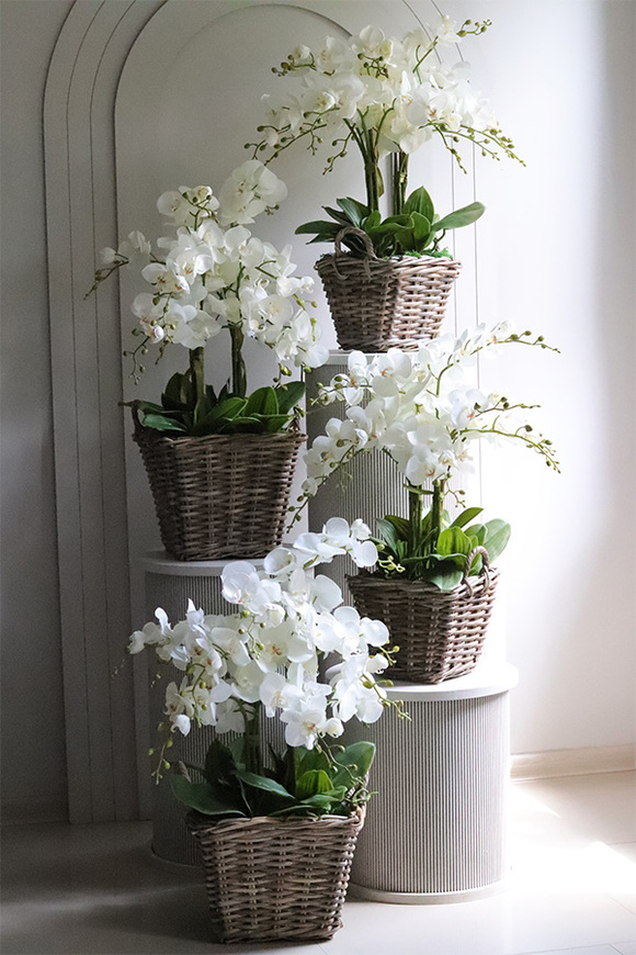 Rattania Provance A, sztuczny storczyk w wiklinowym koszu