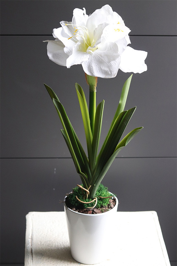 Amarylis Simple White, sztuczna roślina w doniczce