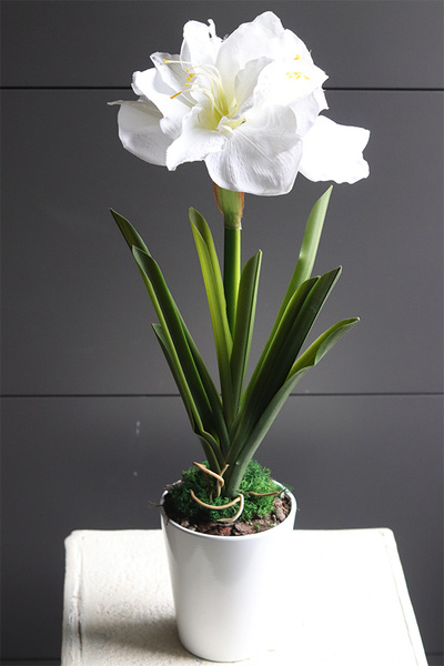 Amarylis Simple White, sztuczna roślina w doniczce