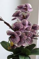 Purple Fantasy, fioletowy sztuczny storczyk w czarnej donicy