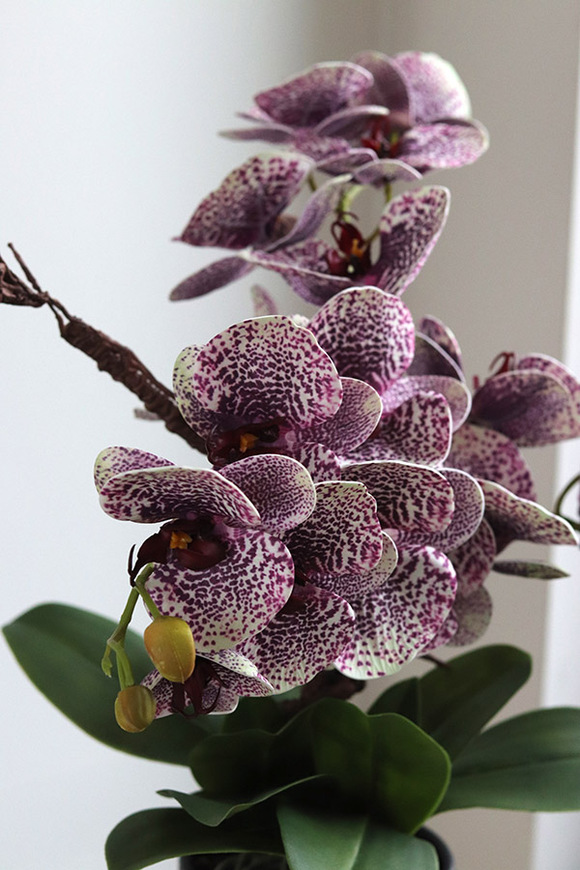 Purple Fantasy, fioletowy sztuczny storczyk w czarnej donicy