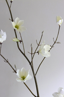 Magnolia Vase XL, kwiaty w wazonie