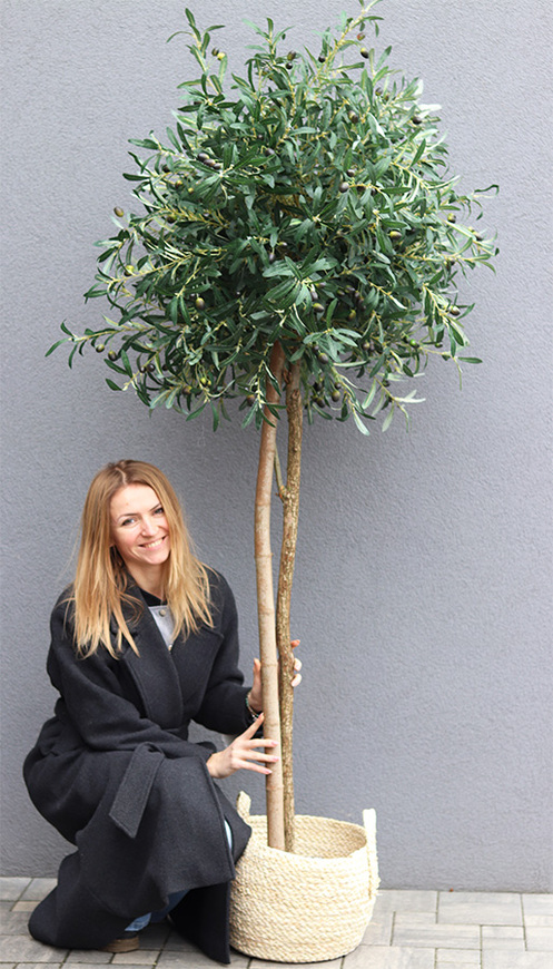 Drzewko Oliwne Basketto, sztuczna roślina w koszu