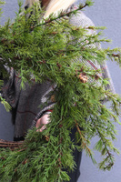 wianek świąteczny modrzewia Big Saute