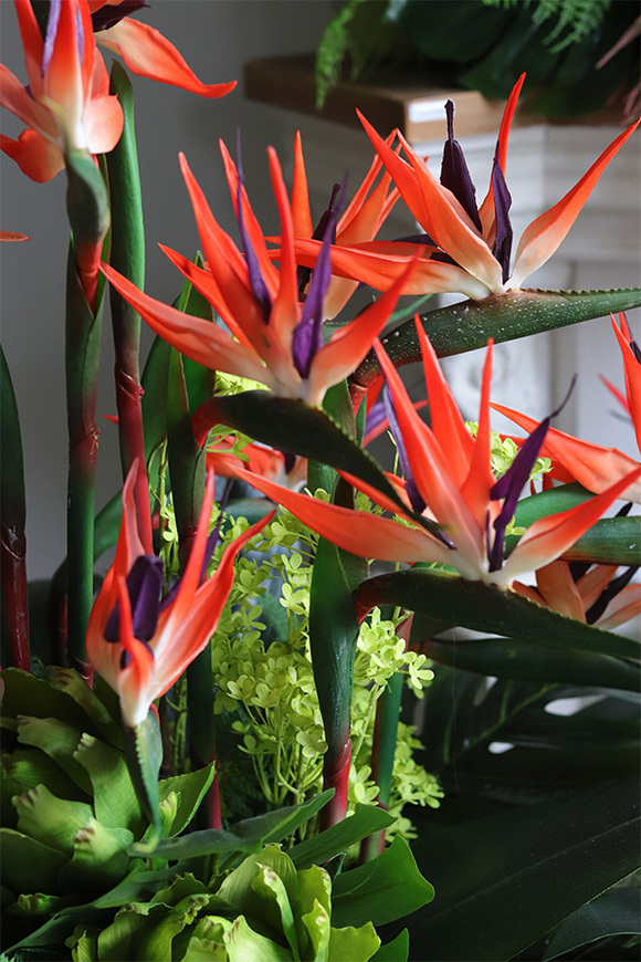 Strelicja Golderia, egzotyczna kompozycja w złotej donicy