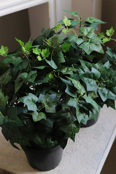 Bluszcz, sztuczna roślina w osłonce donicy