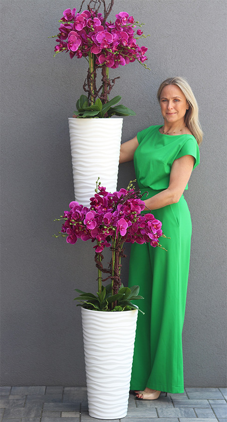 Gizelle Delinata Fuksja, wysoki sztuczny storczyk w białej donicy