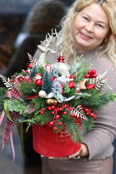 Renifer Gold, flowerbox świąteczny