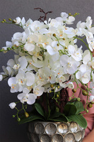 Greiea, sztuczny storczyk w metalowej donicy