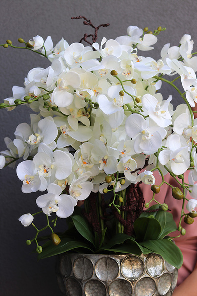 Greiea, sztuczny storczyk w metalowej donicy