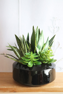 Dekolina Green Krefia, sukulenty w czarnej donicy, wys.33cm