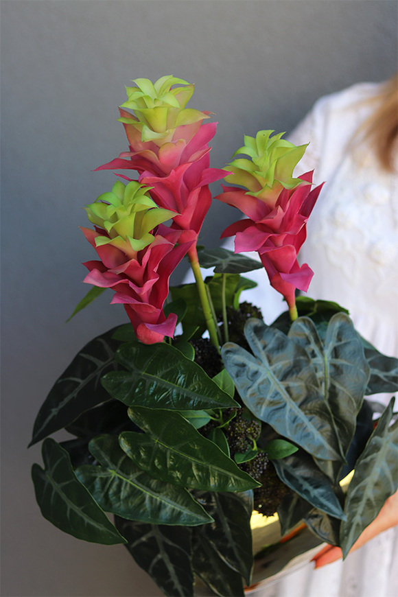 Bromelia Róż, sztuczna roślina w doniczce