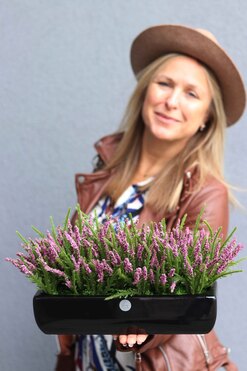 Wrzosy Cipriano 3, kompozycja kwiatowa w czarnej donicy, wym.21x40cm