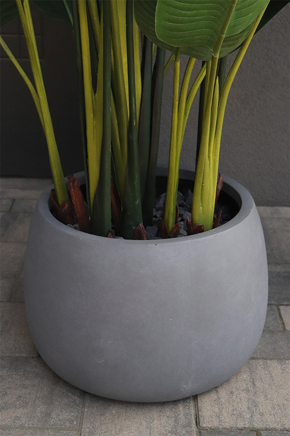 Bananowiec Concrete Bowl 3, sztuczna roślina w donicy