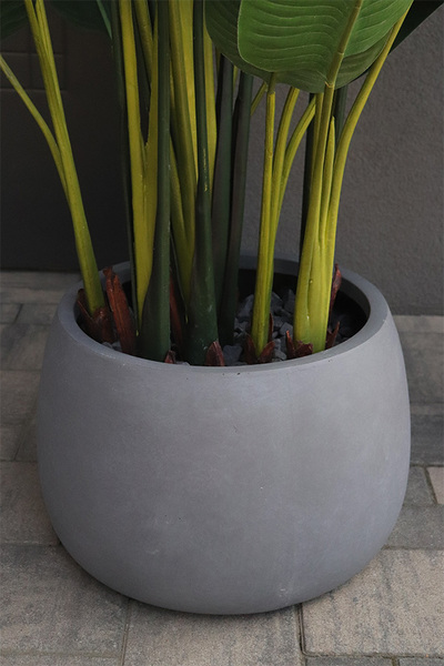 Bananowiec Concrete Bowl 3, sztuczna roślina w donicy