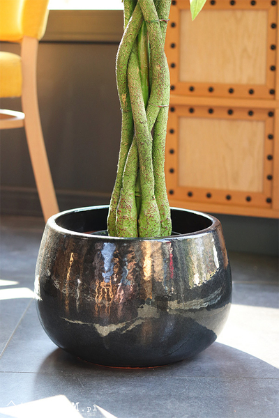 Kasztanowiec Ares, sztuczna roślina w doniczce