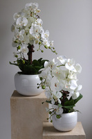 Bielleni 2, stylowy storczyk w doniczce ze wzorem