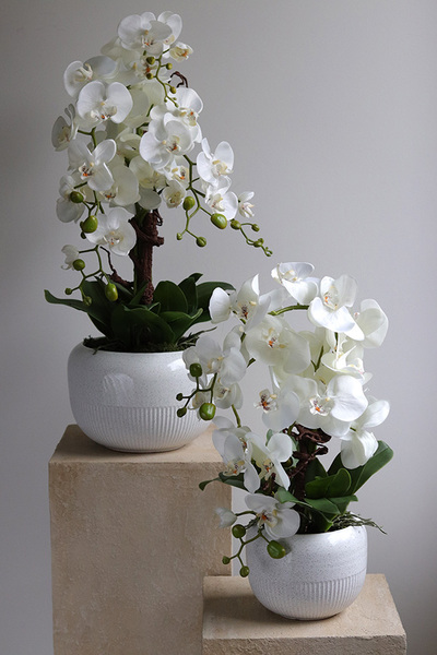 Bielleni 2, stylowy storczyk w doniczce ze wzorem