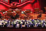 Opera Blue, kompozycja kwiatowa w donicy