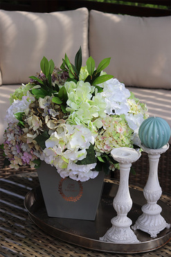 flowerbox z hortensjami, Mediano Hydrangea, wym.54x44cm 