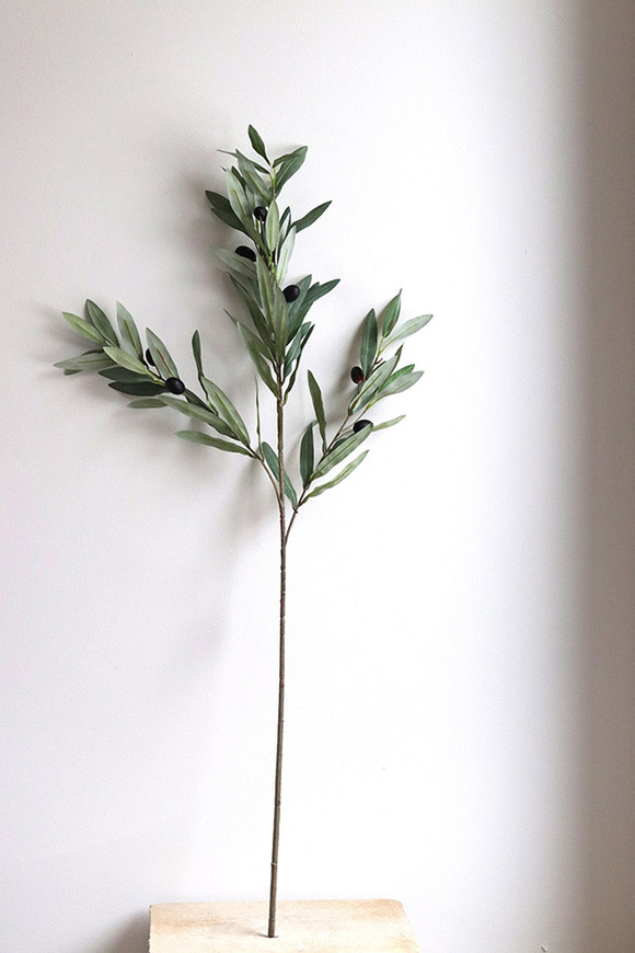 Oliwka, gałązka sztuczna roślin