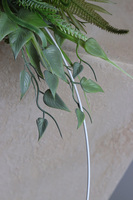 Zielony Księżyc Subtelle, zielony wianek na obręczy