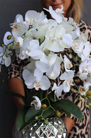 Rozetia Silver, sztuczny storczyk w lustrzanej donicy