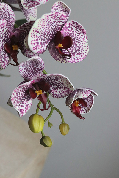 Purple Fantasy, fioletowy sztuczny storczyk w czarnej donicy