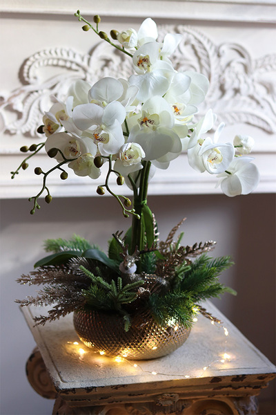 elegancki storczyk zimowy, Premium Gold,