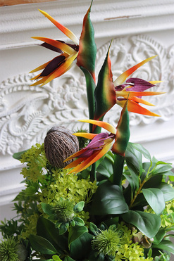 egzotyczna kompozycja w donicy, Strelicja Central Park, wys.65cm 